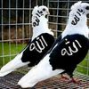 hanusah63