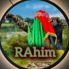 rahimollahniazi1