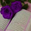 user5681630498495