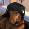 stonedheadjayz