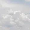 th.trucc02