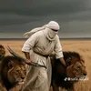 alibasm755