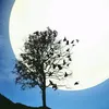 k_oh_24