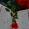 flowr7157