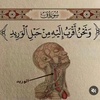 ameer__5670