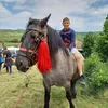 flavius.maier