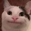 belulululululululuga
