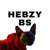 hebzy_bs