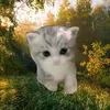 user13213151158085