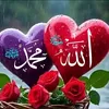 user4949143618488
