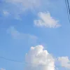 thnh01623
