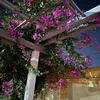 shahd_shaaban16