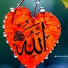 user2277872243204