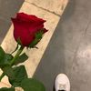 hager.ashraf358