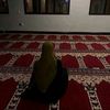habiba.elwazan