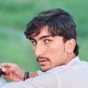 wadood_gull