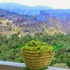 khaled.alabri0
