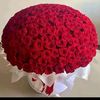 user8737159958316