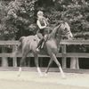saddleseatrider01