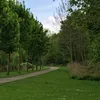 ali__96__1