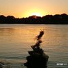 the_nature62