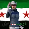 mohamadalashour4