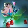 thidaaungmyintmc612