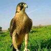 user5506661813019