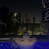 nicorr2001e