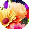 md.joshimuddin86