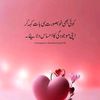 hanif.shah311