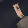 alqasimia_b.52