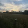 hazzalampp