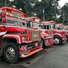 angelmorales6379