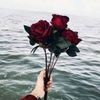malak.saleh507