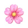 bunga.sakura99