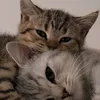 _kitti3s_