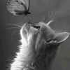 hafe680