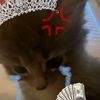 queen_lovesyouu