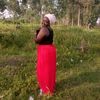 user7531445441502