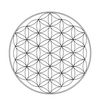 iopenedthefloweroflife