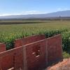 ferme.agricole.maroc