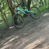 tyler._329