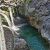riyaadh_covv