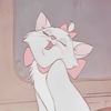 user.nodisponible555