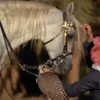 عبدالرزاق الشمري☪