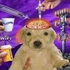 gibby.scrantron