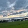 dermot_c10