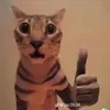 chillmeme1m