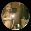 andres.alonzo63
